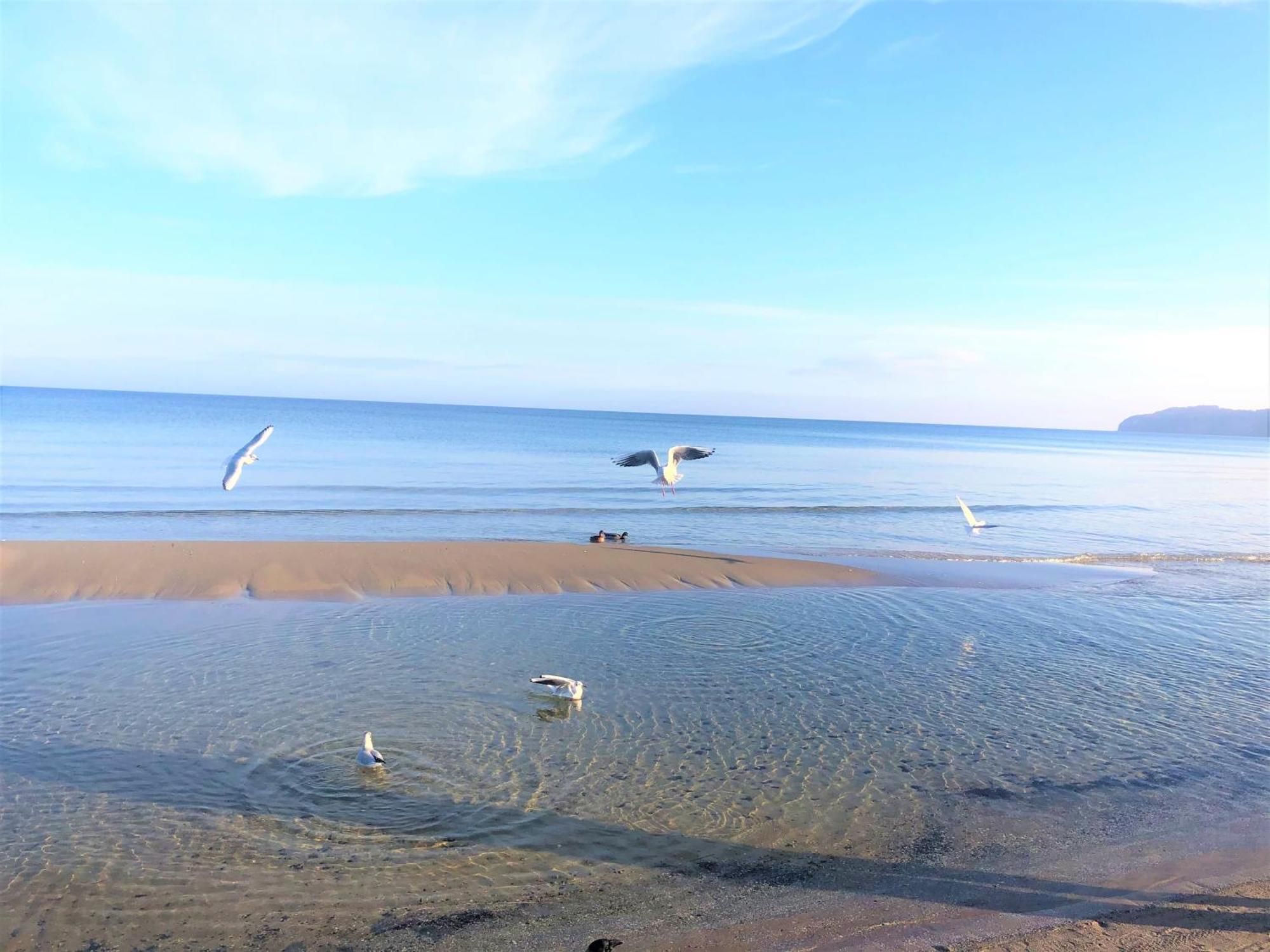 Sommerwind - Villa Helene Mit Meerblick In Top Lage Binz Exterior foto